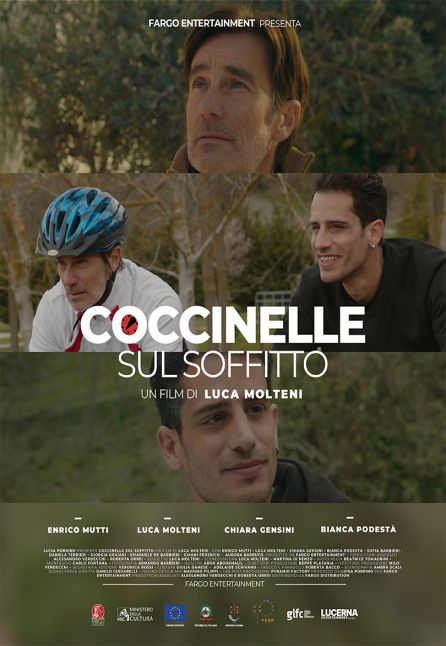 COCCINELLE SUL SOFFITTO